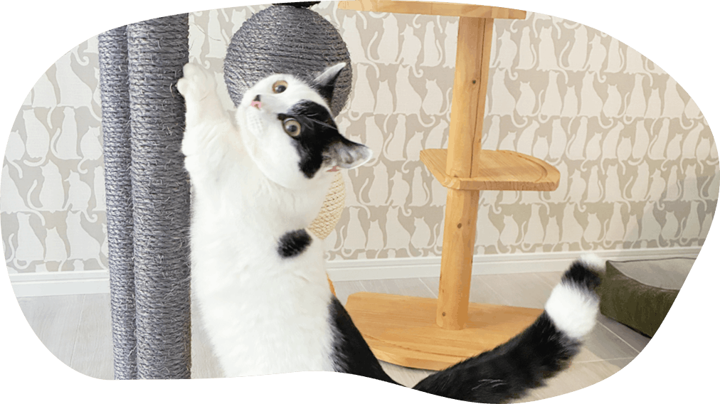 24時間スタッフ常駐の安心体制