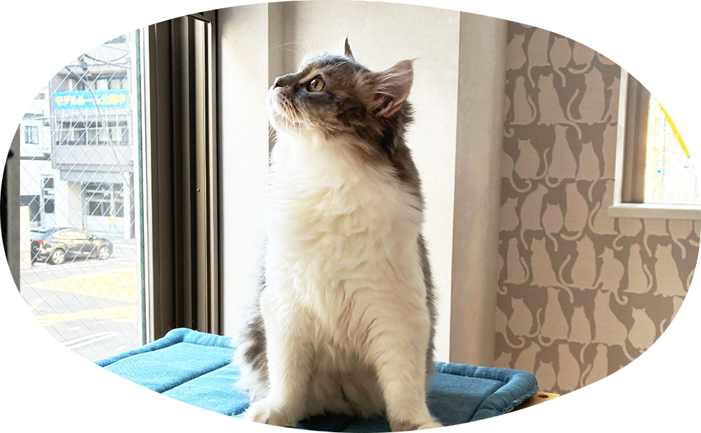 お預かり中の様子をご報告