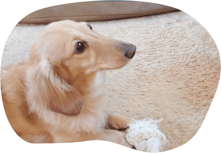 プライバシー対策